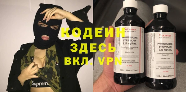 гидра Елизово