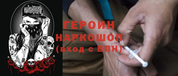 гидра Елизово