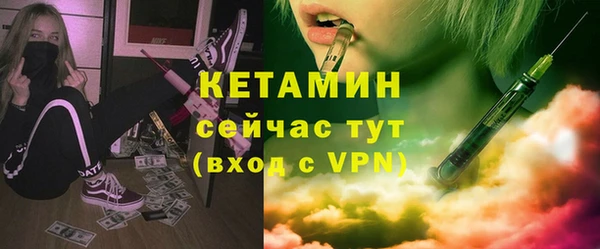 гидра Елизово