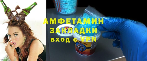 гидра Елизово