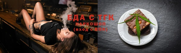 гидра Елизово