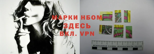 гидра Елизово