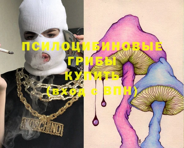 мяу мяу кристалл Ельня