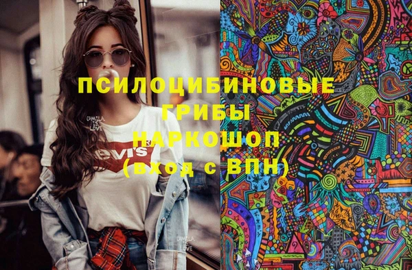гидра Елизово