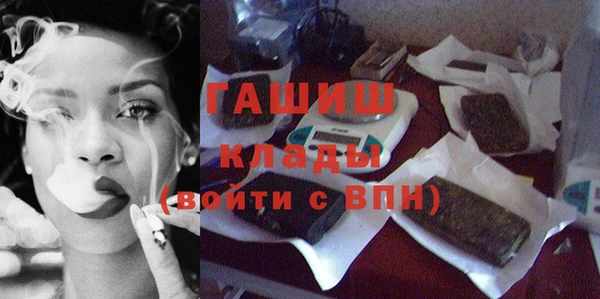 гидра Елизово