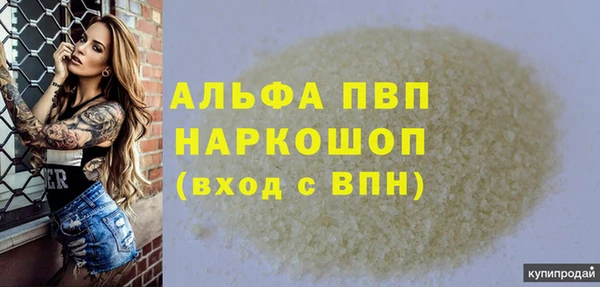 гидра Елизово